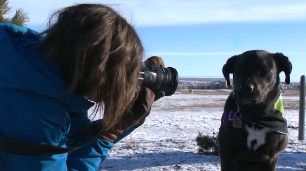 Mountain outings to help shelter dogs get adopted. @RecordStephanie speaks with photographer Rachael Rodgers who has been photographing adoptable dogs at their happiest. bit.ly/2LE4Xfp #yyc