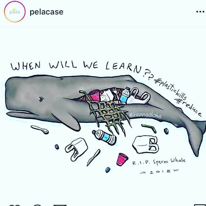 What’s your New Years Resolutions? Stop single use plastics? No more single use straws, bags, cling wrap, plastic...