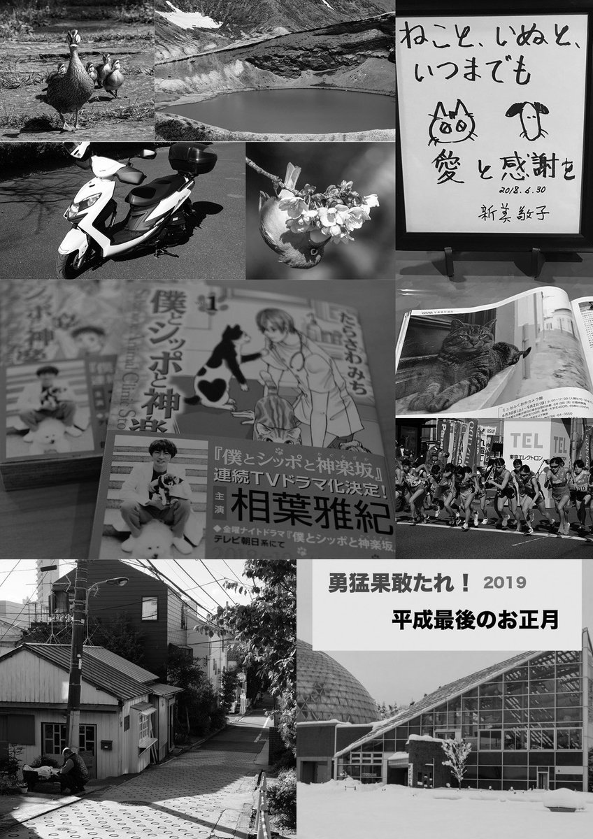 たらさわみち たらさわみち