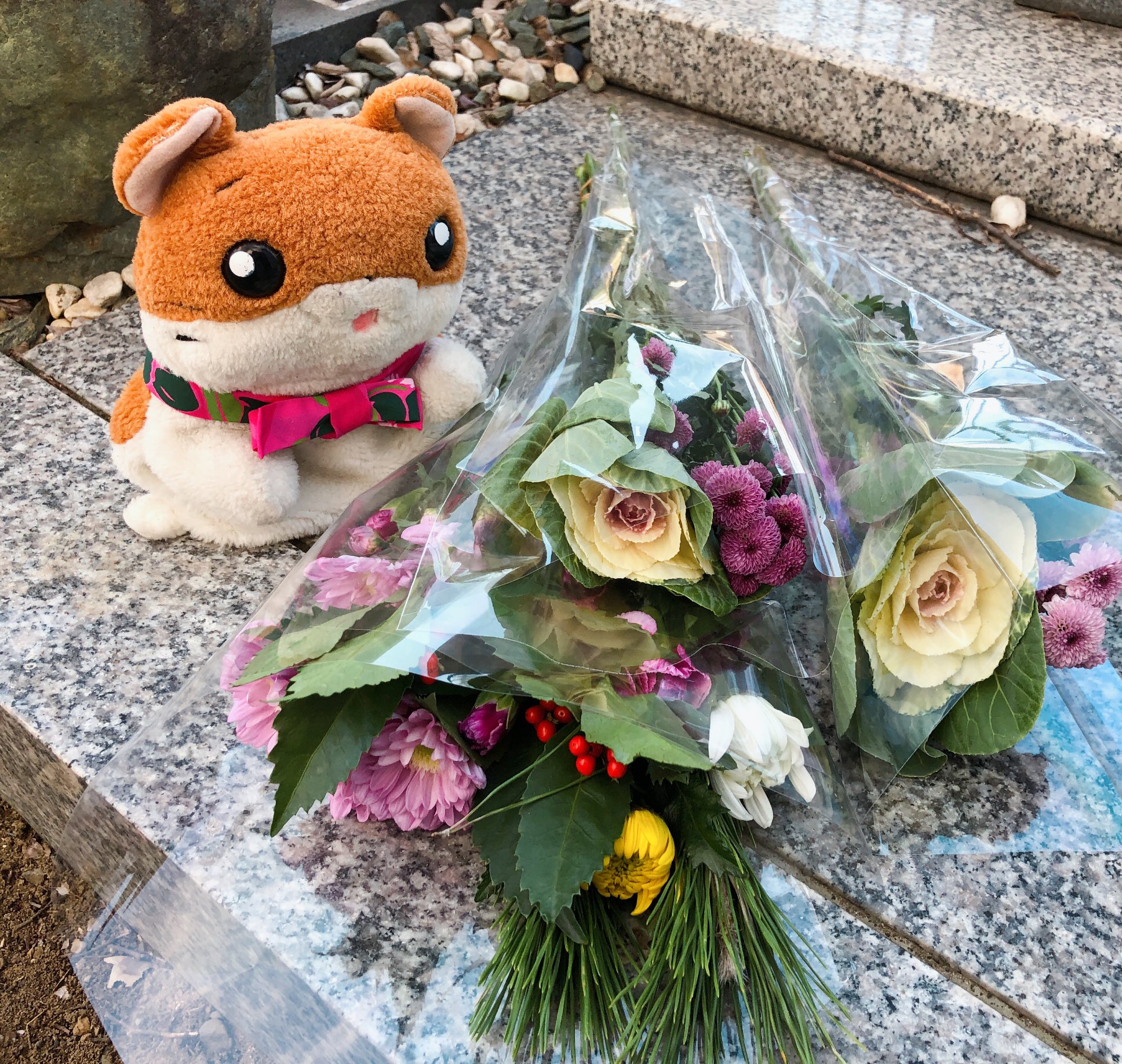 Kobi くまパン園芸 あまつゆか 年末ギリギリになってしまったが お墓参りに行ってきたヨ お花 を選ぶ時 松 千両入りは派手すぎてダメかなぁ と悩んだけど 店頭ポップに お正月仏花 と書いてあったのでコレと葉ボタンを買って持って行ったんだ ぬい