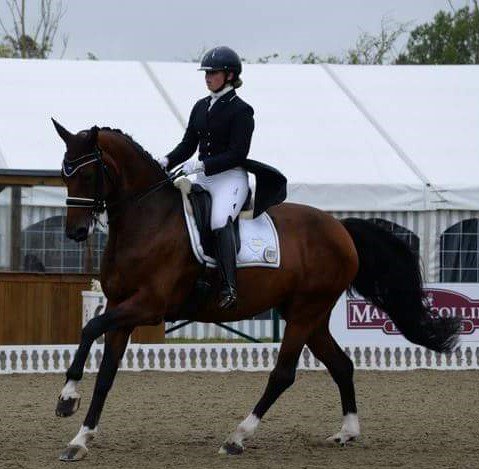 Ireland’s Anne-Marie Rawlins and Donja take third place in Intermédiaire I at Mechelen CDI4* in Belgium. longinestiming.com/#!/equestrian/…  #equestrian @DaneRawlins1 @TeamIRLEq @DressageIreland @ARPRM #Horses #Ireland 🇮🇪☘️🎄