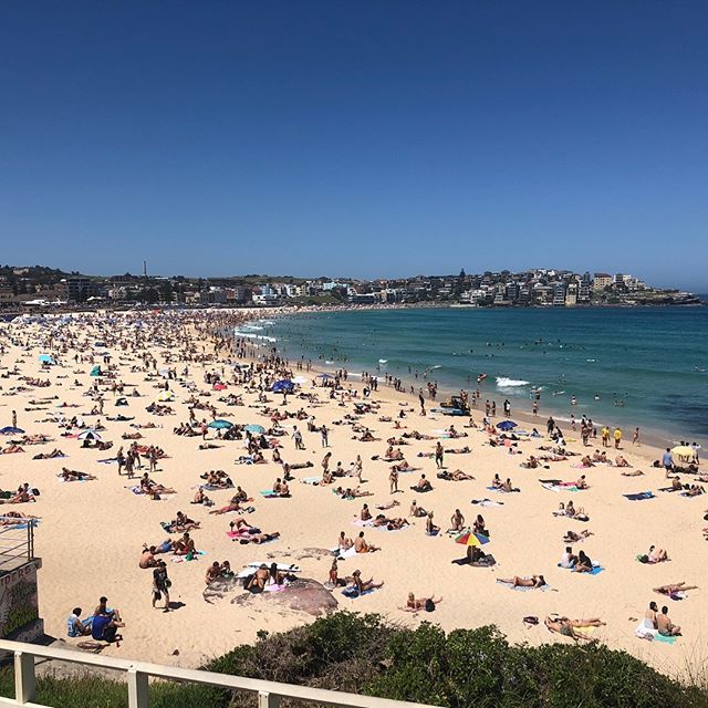 NorthBondiRSL's tweet image. Summer Holidaze at Bondi. Pop in to The Rats for some Christmas cheer 🥂 🍻 .
.
.
.
.
#bondi #northbondi #bondibeach #sydneylocal #sydneysummer #sydneybeaches #sydneydrinks #sydneyweather #sydneyfood #northbondirsl # bit.ly/2Q4wmYx