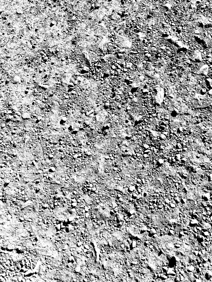 ciku_njagi's tweet photo. What if the soil shall hold you closer than anyone ever did. Cuddle you and keep you warm when you'll be cold. Correct your flaws and unheave your chest.Then offer you peace and comfort sheltering you from light keeping you far from constant mishaps. #Trodden https://t.co/l1FPr5ThMS