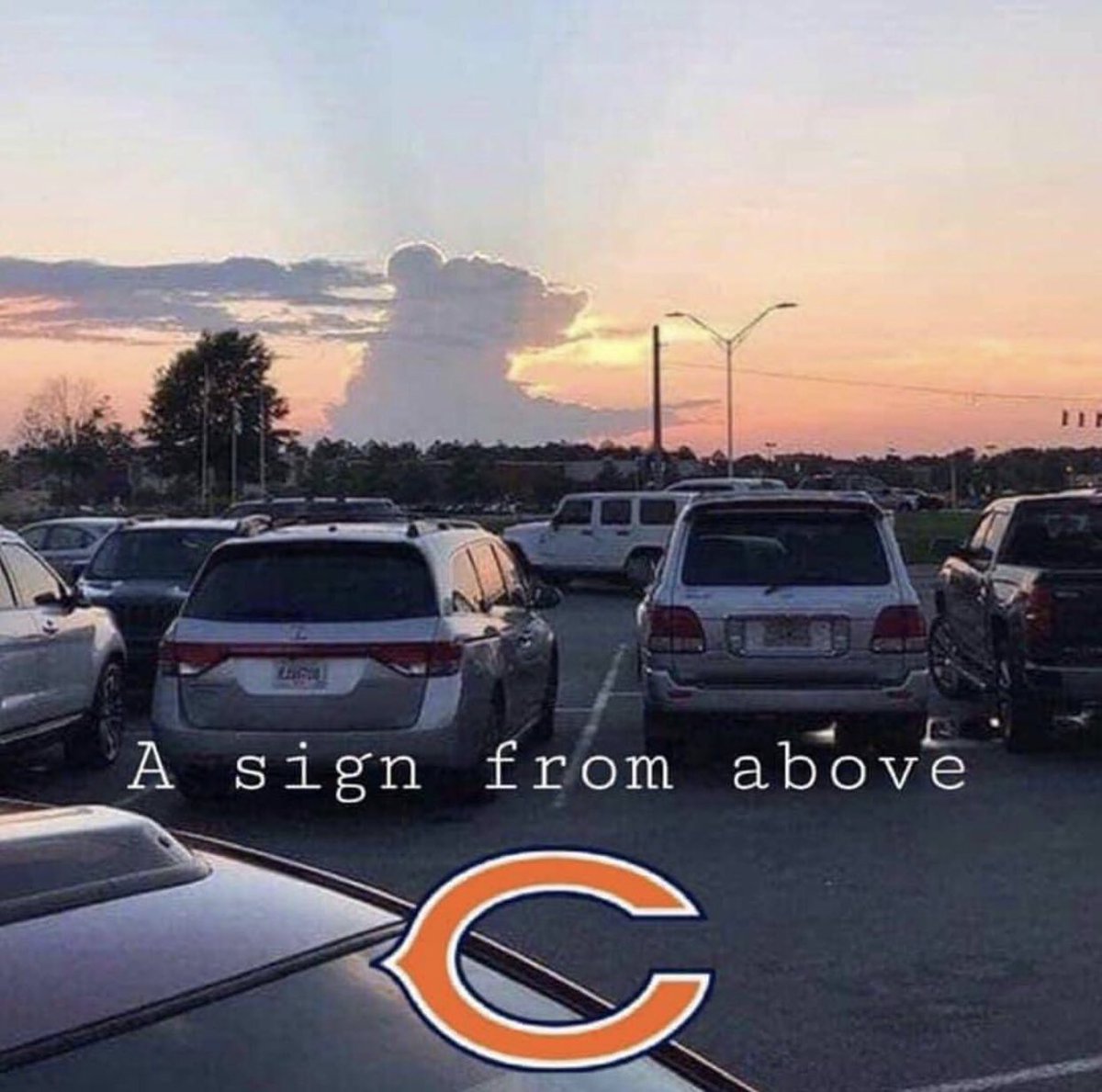 Chicago Party Aunt tweet media