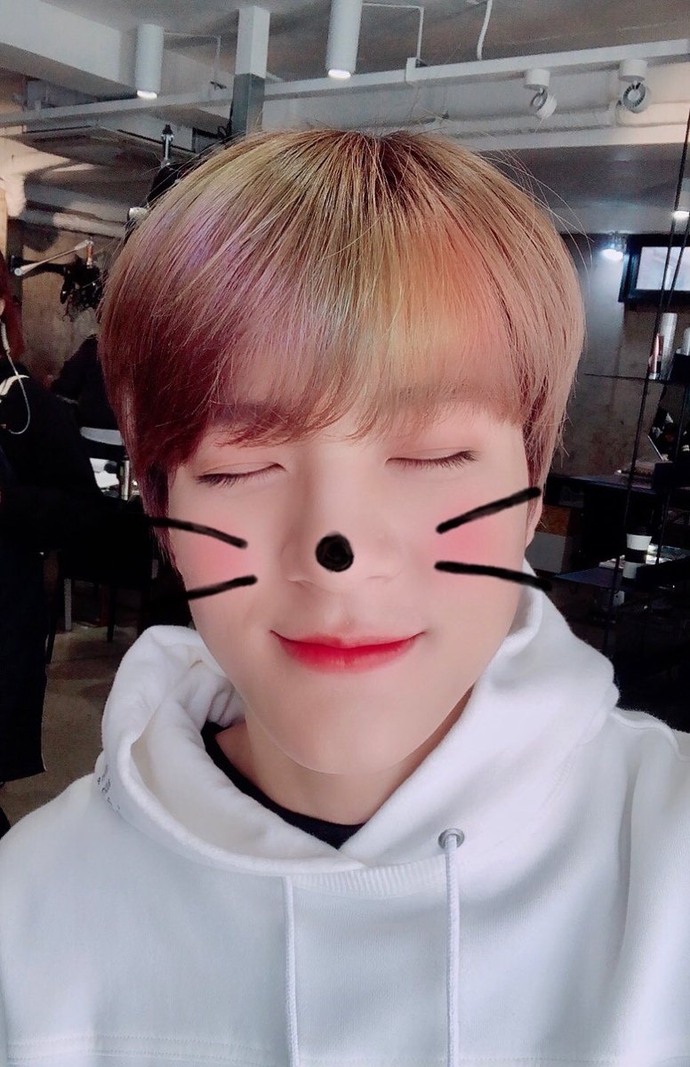 NCT tweet media