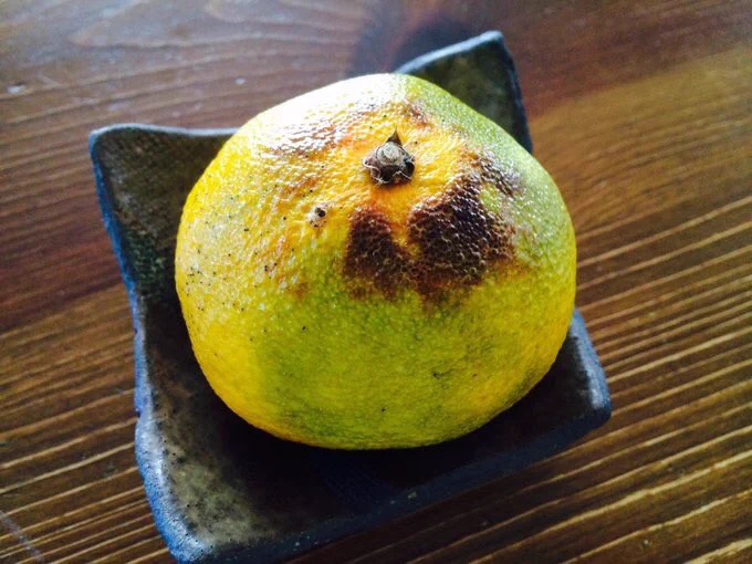 焼いたみかんの効能がスゴい！！お試しあれ！！