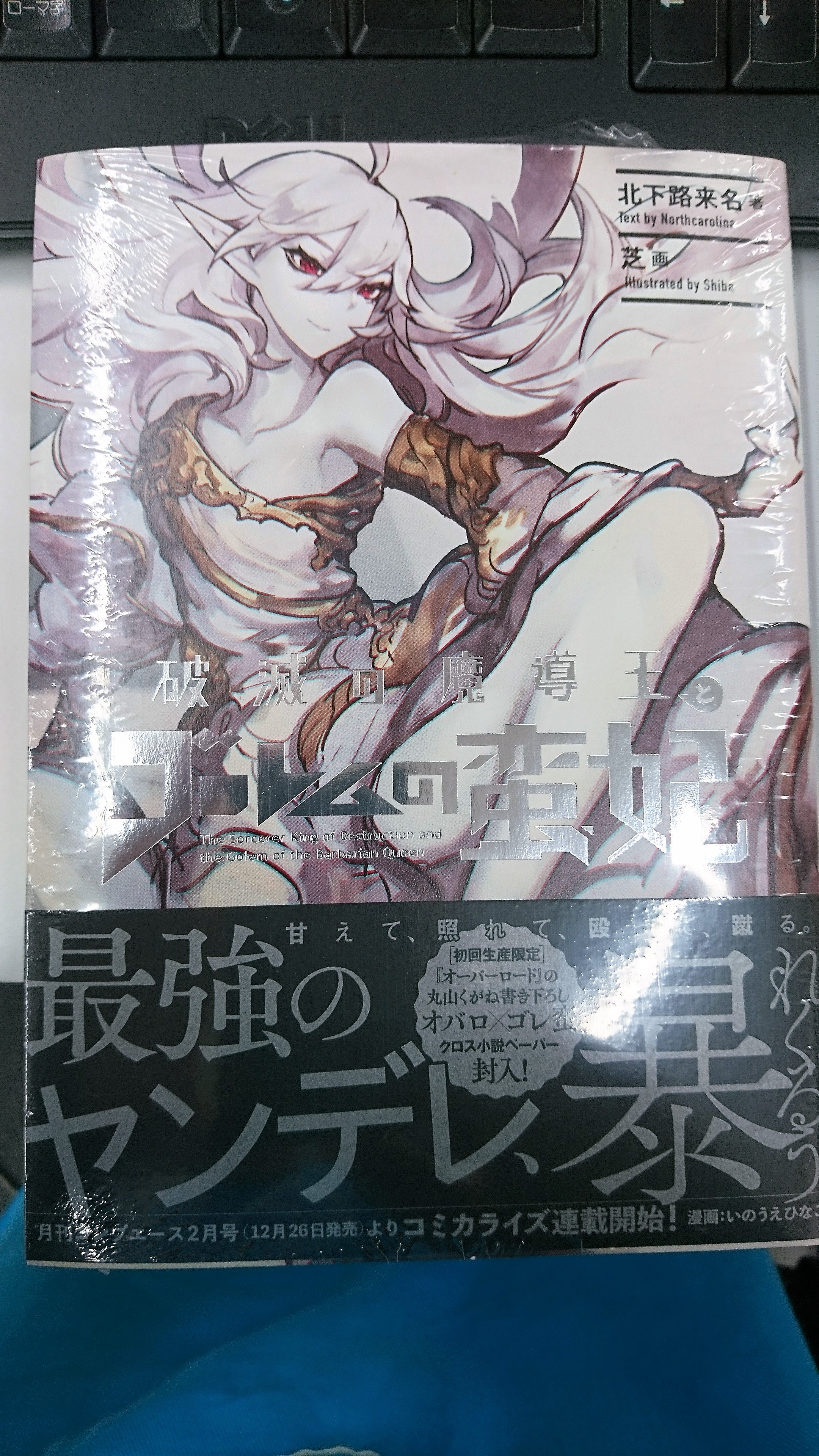 クロス小説 オーバーロード×破滅の魔導王とゴーレムの蛮妃 丸山