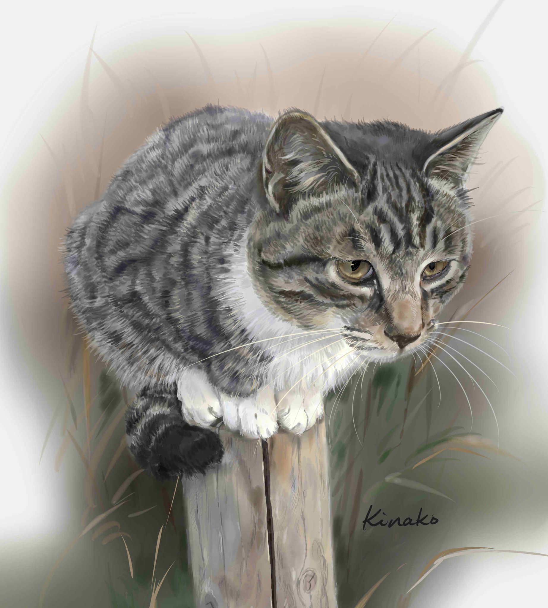 きなこ 猫の絵を描いています 河原の野良猫 子猫のペリー とっても人懐っこいかわいい子です 先日のチャッピーときょうだいです こんな狭い杭の上に乗って シンクロしたり このかわいい子猫たちが 冷たい風を凌げる場所があります きなこ 猫の絵を描いています 河原の野良猫 子猫のペリー とっても人懐っこいかわいい子です 先日のチャッピーときょうだいです こんな狭い杭の上に乗って シンクロしたり このかわいい子猫たちが 冷たい風を凌げる場所があります