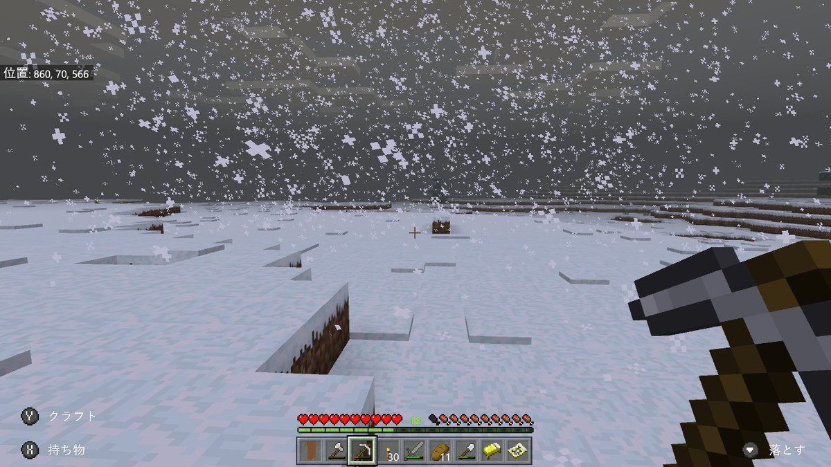 キリ 初めての雪原 Minecraft マイクラ マインクラフト Nintendoswitch