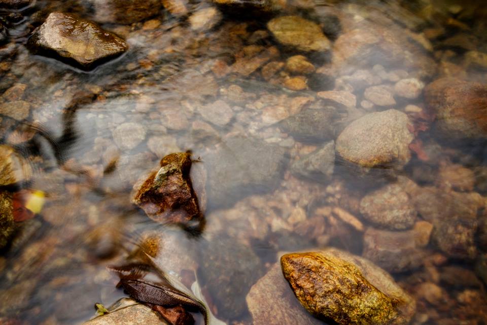 natureresorts1's tweet photo. Water is the most perfect traveller because when it travels it becomes the path itself!
Mehmet Murat Ildan
#NatureResorts #KurumbaVillageResort #Teanest #TeanestAnnexe #TeanestNightingale #CoonoorHomestay #CoonoorHotel #CoonoorResort #OotyResort #OotyHotel #KotagiriHomestay https://t.co/Kwx0Eo1Rxn