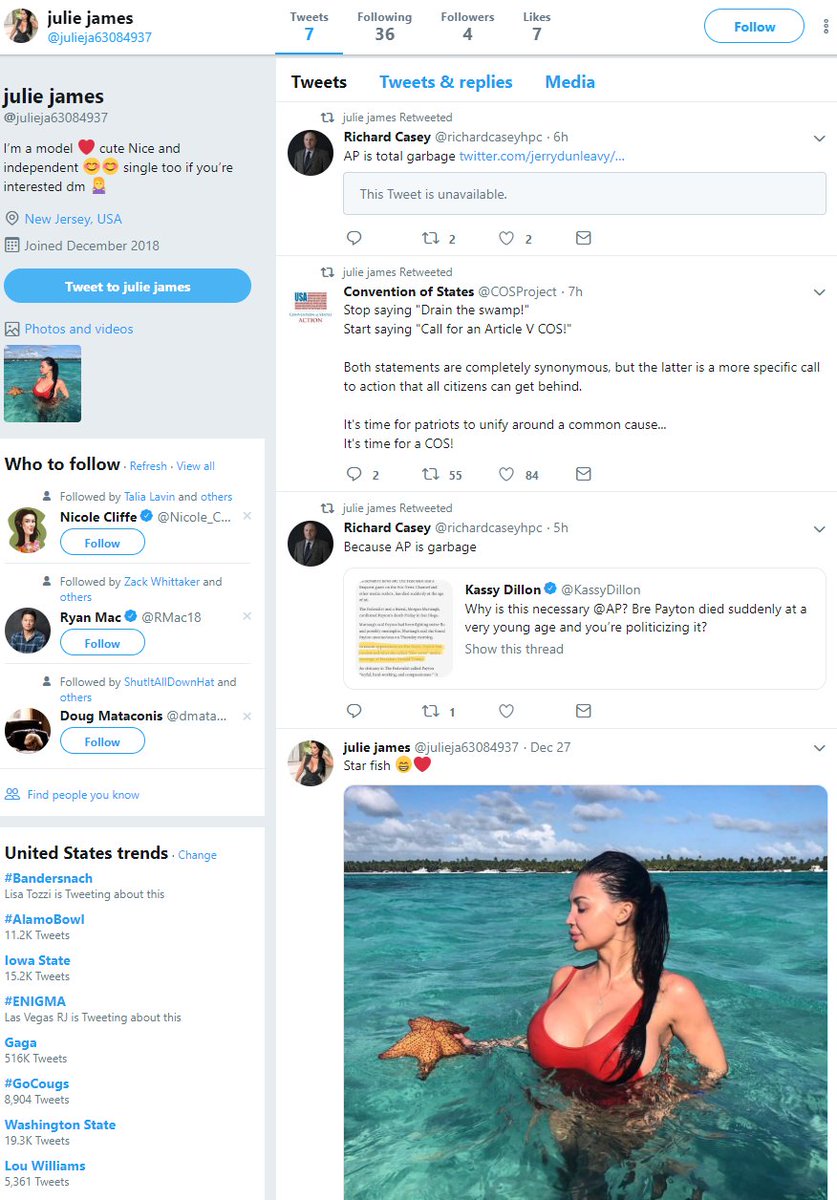 Model named "Julie James" joins Twitter two days ago, posts a selfie, the immediately starts retweeting support of constitutional convention to amend American constitution and complaints about the Associated Press.Problem: That picture is someone named "Aletta Ocean."