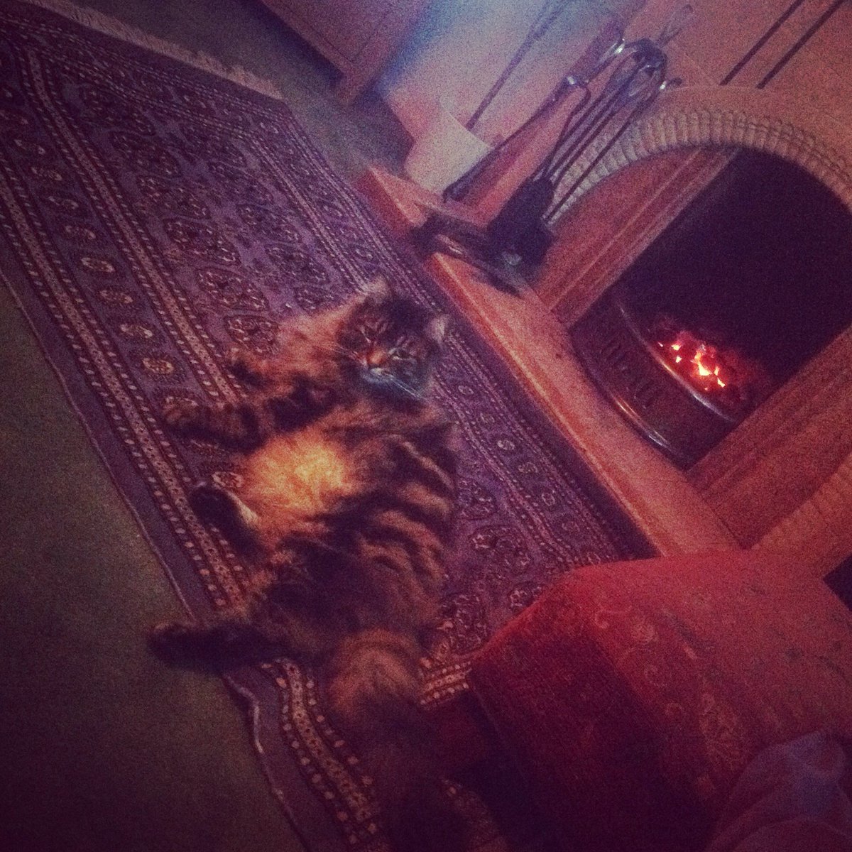Lisaaldons's tweet photo. Just done the deed! Me and Badger are in #ywadedicate https://t.co/Vy0aVVILZt