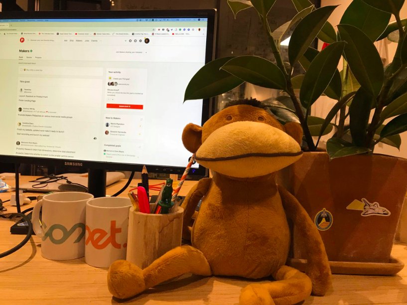 instant gratification monkey plush toy