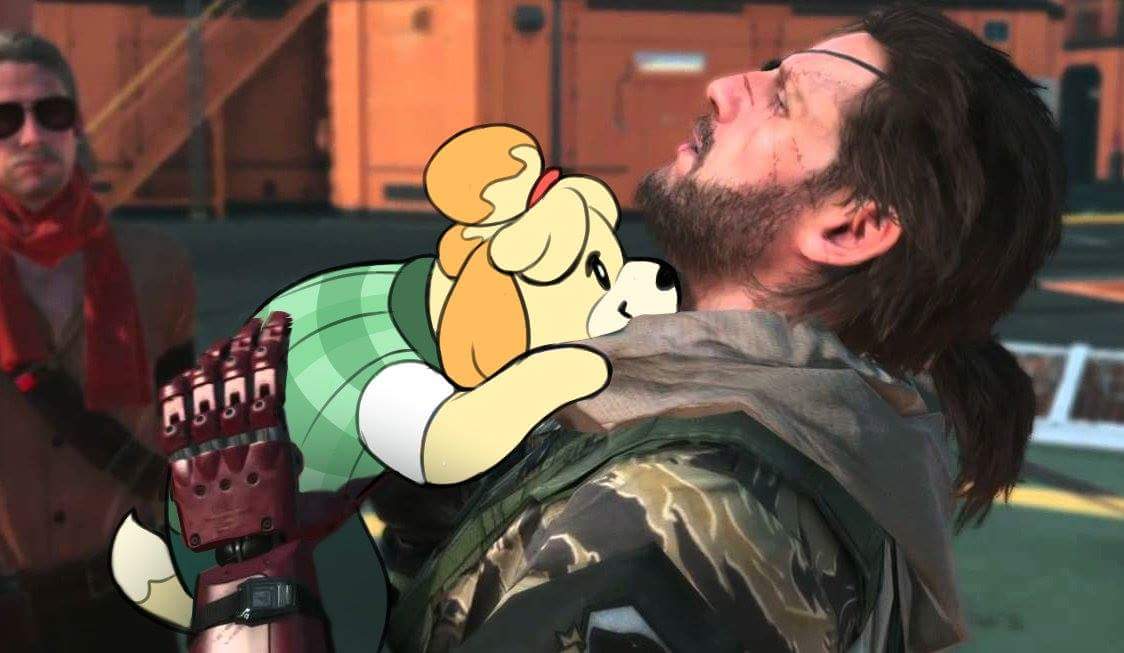 Dvl0ZBNWoAAqTe5?format=jpg&name=medium