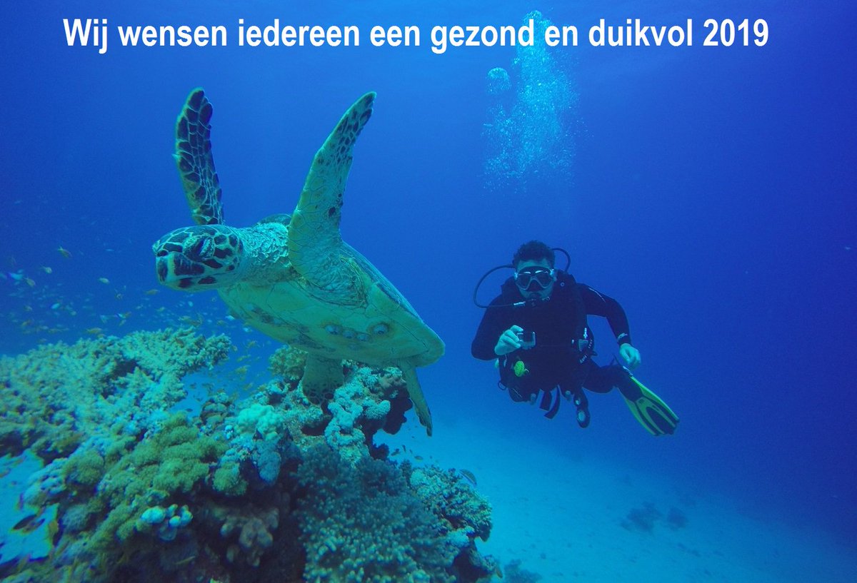 Karibudivers's tweet photo. https://t.co/QgiEYcDPJK
