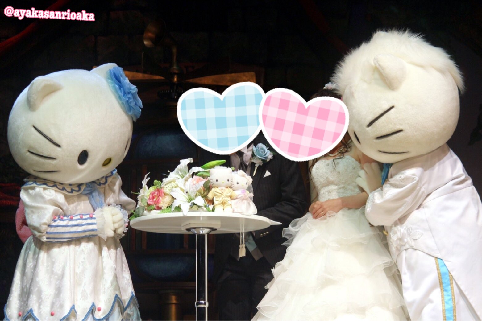 ふみ ㅅ Ayakasanrioaka あ やっぱり衣装の指定できないんですね シナモンの紋付き袴とか マイメロちゃんの着物とか結婚式にいいなーと思ってたので残念です Twitter