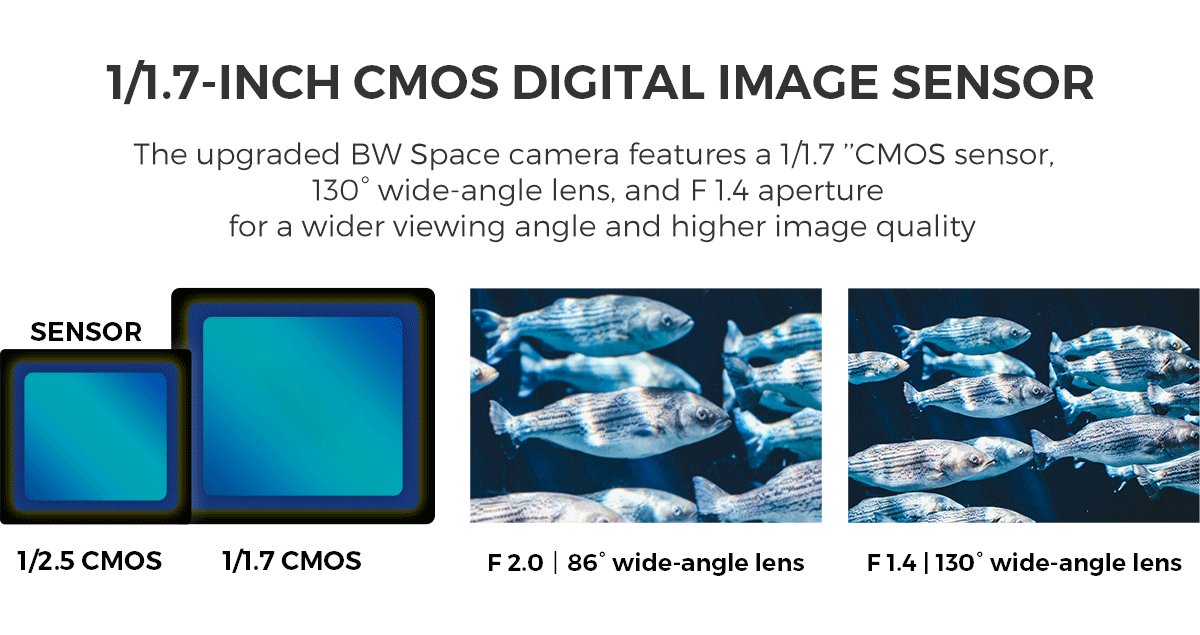 YoucanRobotics's tweet photo. With better camera configurations, BW Space allows you to take more perfect underwater photos. #Youcanrobot #BWSpace #drone #underwaterdrone #underwater #robot #sea #ocean #4K #camera #photography #videography #diving #science #technology https://t.co/AOjecVcU2G