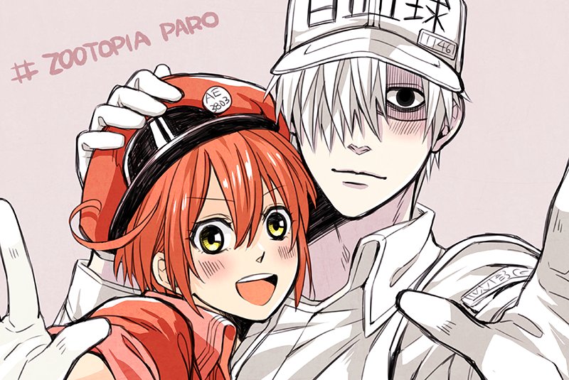 #白赤 今天又把ZOOTOPIA看了一次，狐兔真可愛～☺️💕