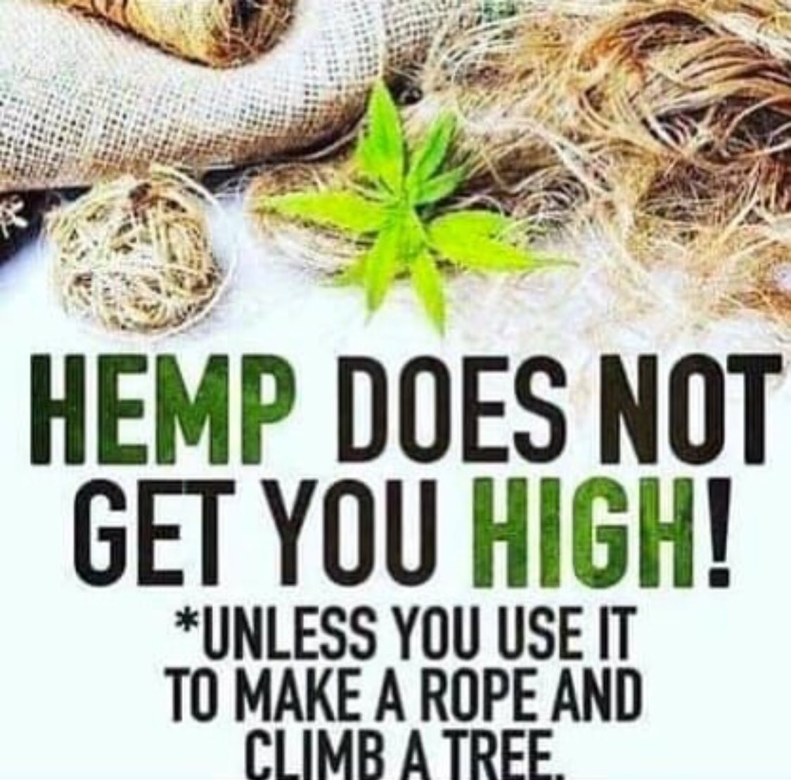 Hemposphere CBD from the pro’s #cbd #cbdclinic #cbdessex #health #lifestyle #mma #bjj #EKBjj  #Twolions #purephyto #recovery #healthylifestyle #healthydiet #fitness #FitnessMotivation  #fitnessmodels