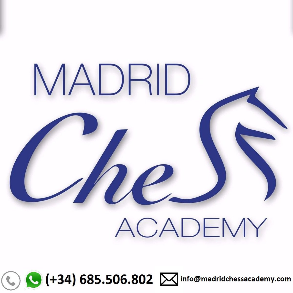 Madrid Chess Academy tweet media