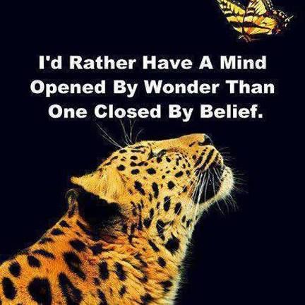 Atheist_Buddha's tweet photo. #SecularBuddhist #curiosity
- TH https://t.co/duppemrchB
