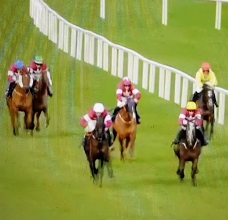 racingblogger's tweet photo. Some sight for Irish racing! https://t.co/N7TIl1wnDk