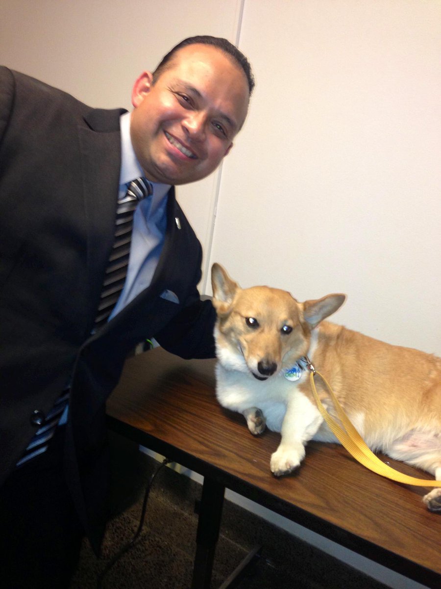 SupervisorAlejo's tweet photo. #SutterBrown was the coolest member of Governor @JerryBrownGov’s Administration. Staffers & volunteers loved walking him around the Capitol or visited legislative offices! He was always a star &brightened up some gloomy legislative halls! He died 2yrs ago tomorrow of cancer at 13 https://t.co/zarCgbkce9