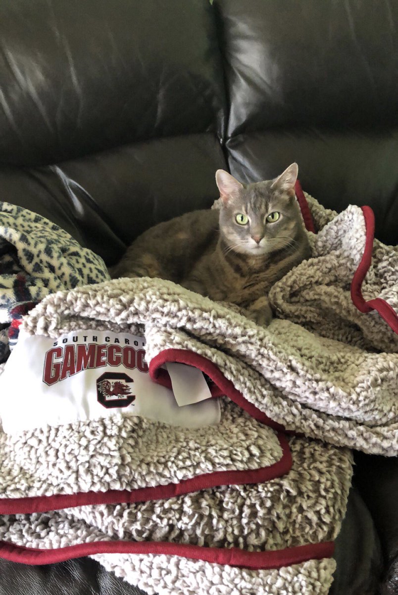 aHoyle1's tweet photo. Patiently waiting for a TD 😣 https://t.co/MGLs30J8bs