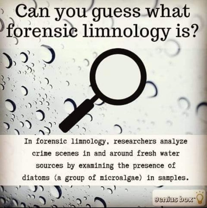 👉#Forensic Limnology
👉Forensic limnology is a sub-field of forensic botany, which examines the presence of diatoms in crime scene samples and victims.
-----
#forensicterms #forensics #forensicscience #forensicsoul #forensicstudy #forensicfield #forensicbotany #diatom #study