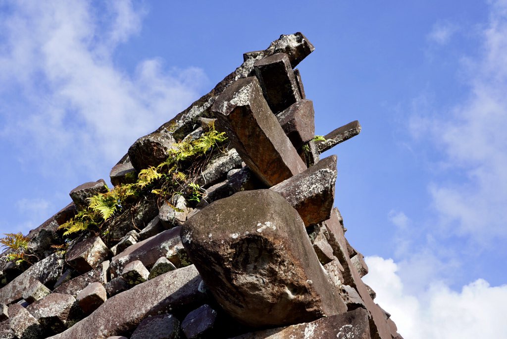 janlisiecki's tweet image. #souvenir from #Pohnpei #federatedstatesofmicronesia #travel #islandhopper