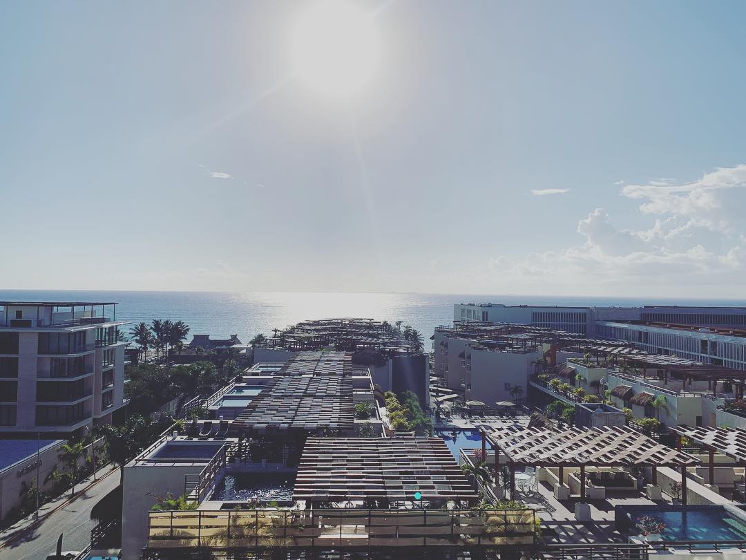 The Reef 28 tweet media