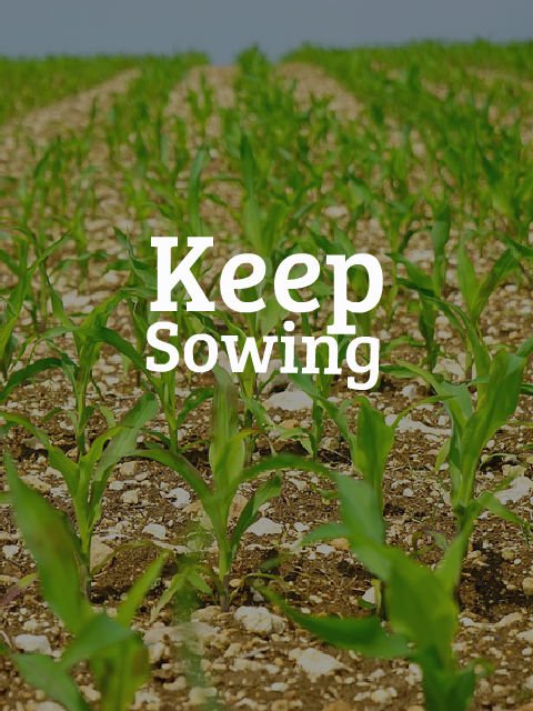_mco's tweet photo. If I had something that could possibly save your life or a loved one would you want me to tell you? And that’s the reason why I talk about #CBD every day. #keepsowing #nochill #chooselifeoverdeath https://t.co/J9wSm3D4Gp