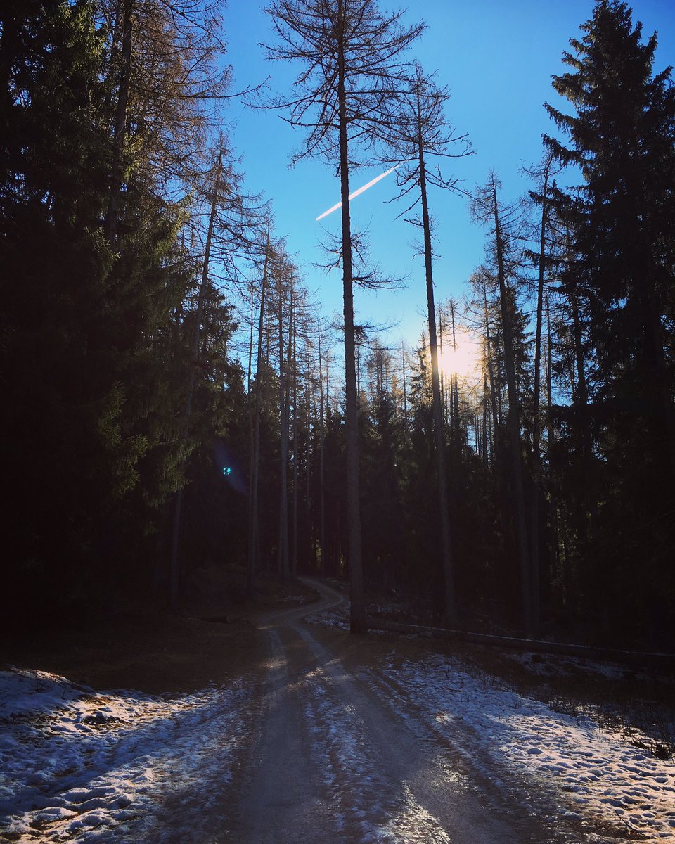 LaDemonologa's tweet photo. Passeggiando nel bosco.
#predaia #ilovevaldinon #trentino #trentinodavivere #trentinodascoprire #mountains #naturephotography #landscape https://t.co/wDSTusNl1a