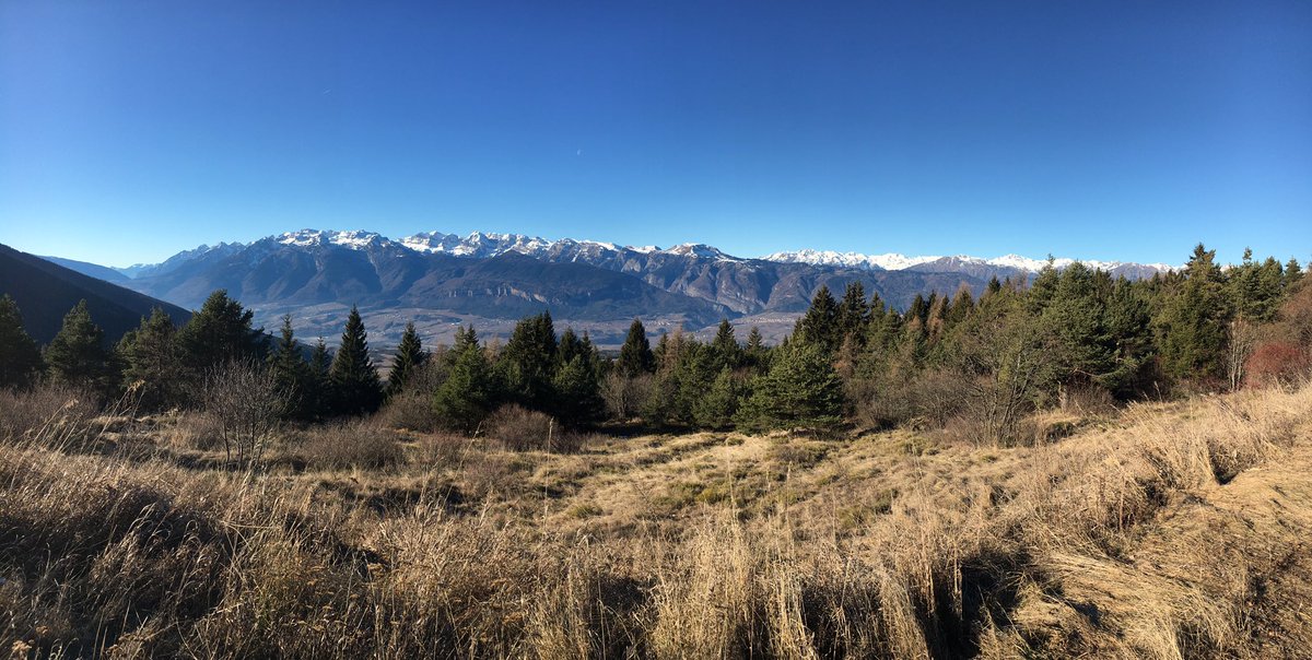 LaDemonologa's tweet photo. Ore 11.15 vs ore 15.
#predaia #ilovevaldinon #trentino #trentinodavivere #trentinodascoprire #mountains #naturephotography #landscape https://t.co/gKdIxX326W