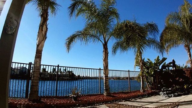 ZandarZone's tweet image. #ilikepalmtrees #Calilife
..baq grabbin a #fewthings (#lessisthenewmore ) in the #iE since i #moved out to #Hollywood with a #bugoutbag 😂  #breeZy ~Dr.ℤ⓵☯~ #2019 #itson bit.ly/2GMMwGJ