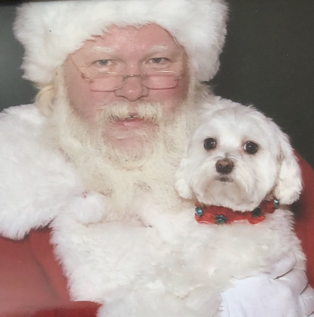 King_Spry_Law's tweet image. All month, we’ve been celebrating the holidays with our fur-friends. Today’s pet of the day is Sasha Bella, loved always by litigation paralegal Lindsay Cochrane. Happy New Year!! #kingspryholiday #dogsofdecember #lawsandpaws