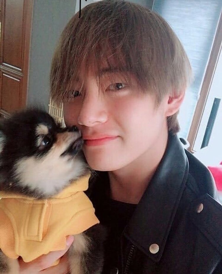 Kim yeontan. Юнги 2023 год. Шпиц ентан бтс. V and yeontan. Шпиц мем.