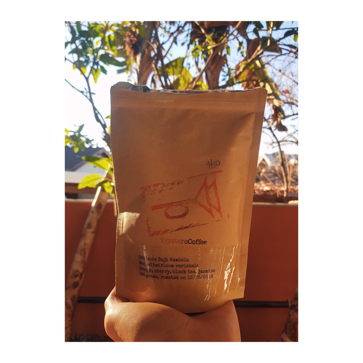 land. films tweet media