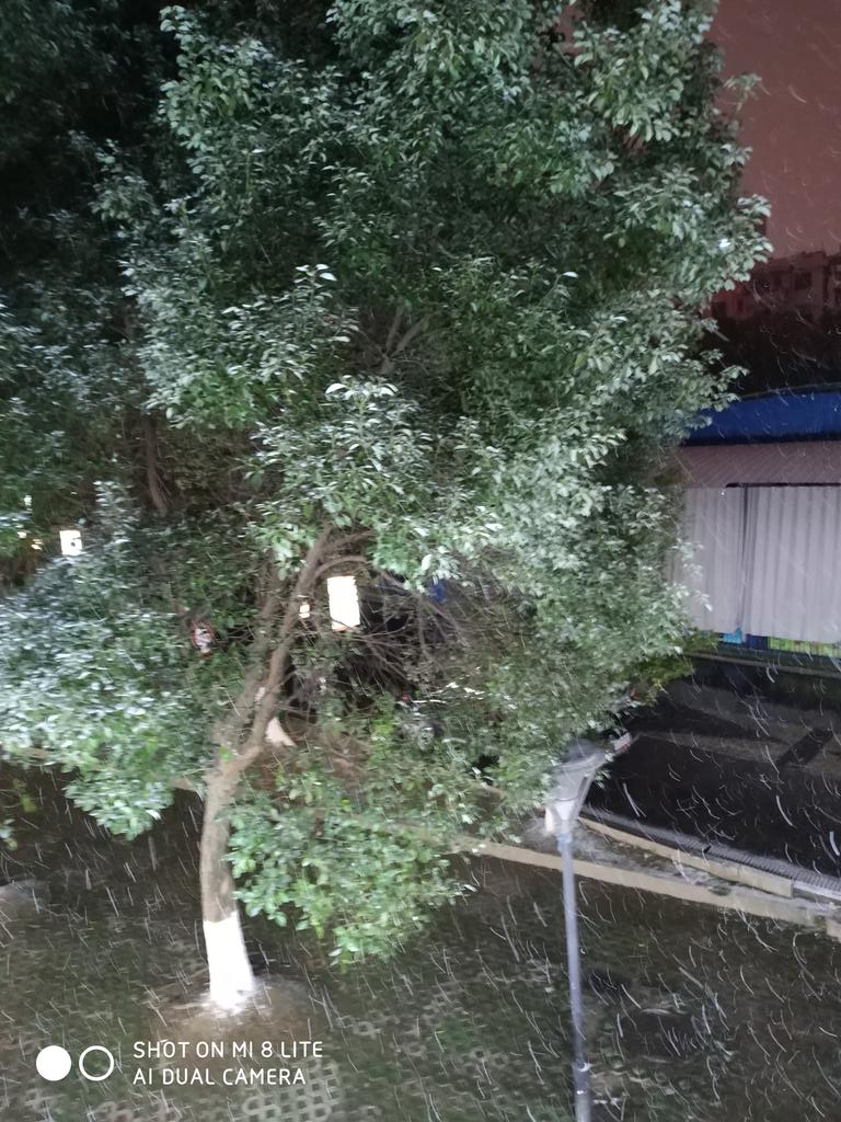 momingqian's tweet photo. #第十八天

  下雪了。

  好冷哦(´-ω-`)

  依旧是日语学习打卡，今天的每日一语是：上には上がある。 https://t.co/m4Z3OzJjG2