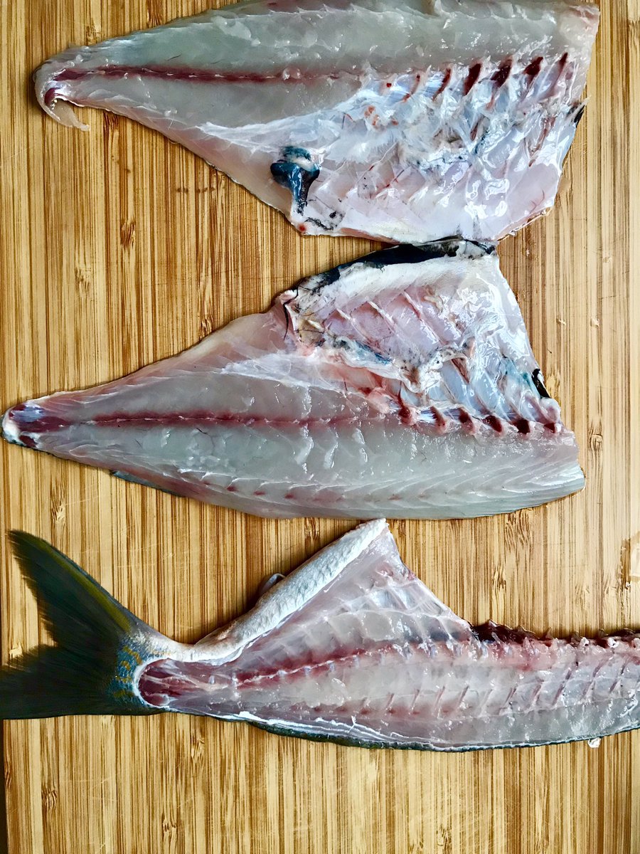 ショゴ太郎 パリで魚料理 Bogues スズキ目 パリでは血抜きされた魚はほとんどない 身に血が回って残念です あばら骨が結構しっかりしてる魚だね スズキの仲間みたいで白身だからムニエルとか塩焼きもいいかなと思ったけど今回は漬け丼にしてみる