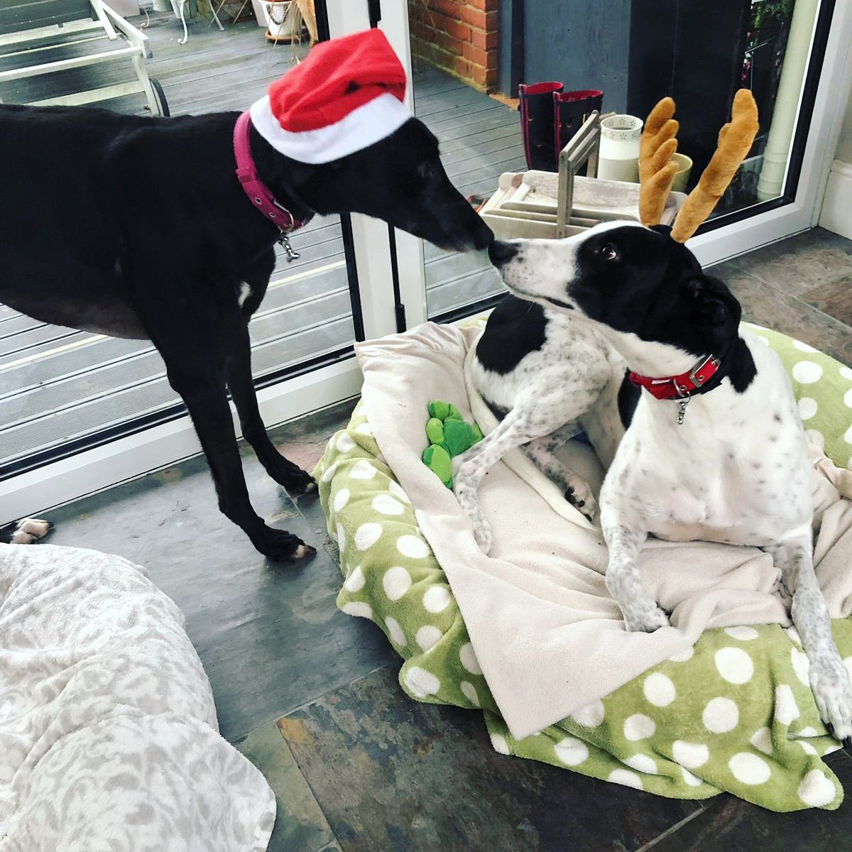 Merry Christmas and a Happy New Year to all 😁
We are sorry for the lack of updates recently.. we have bought a house and have decided to rennovate it through our off peak season.. but we will have our workshop back up and running full speed in Feb 2019!  T5 ready Feb 19 ;)