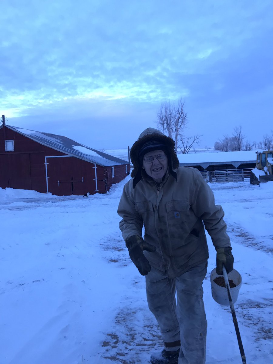 _cassi_jo_'s tweet photo. 83 years young and still doing his daily chores... which now consist of getting the mail and feeding his barn cats 🐱 #grandpa #onceafarmer #alwaysafarmer #cattletales https://t.co/FKsVz57qV5