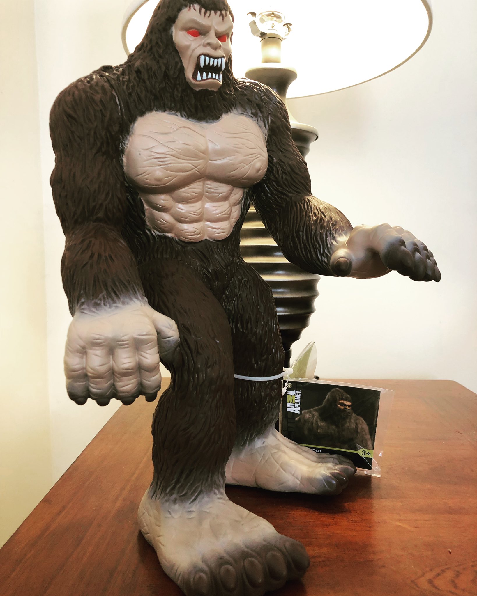 Stomp on X Animal Planet Bigfoot figure for Christmas. Did anyone get some Bigfoot themed gifts for the holidays AnimalPlanet bigfoot bigfootgifts sasquatch yeti stomp stompfilm stompmovie holidays gi...
