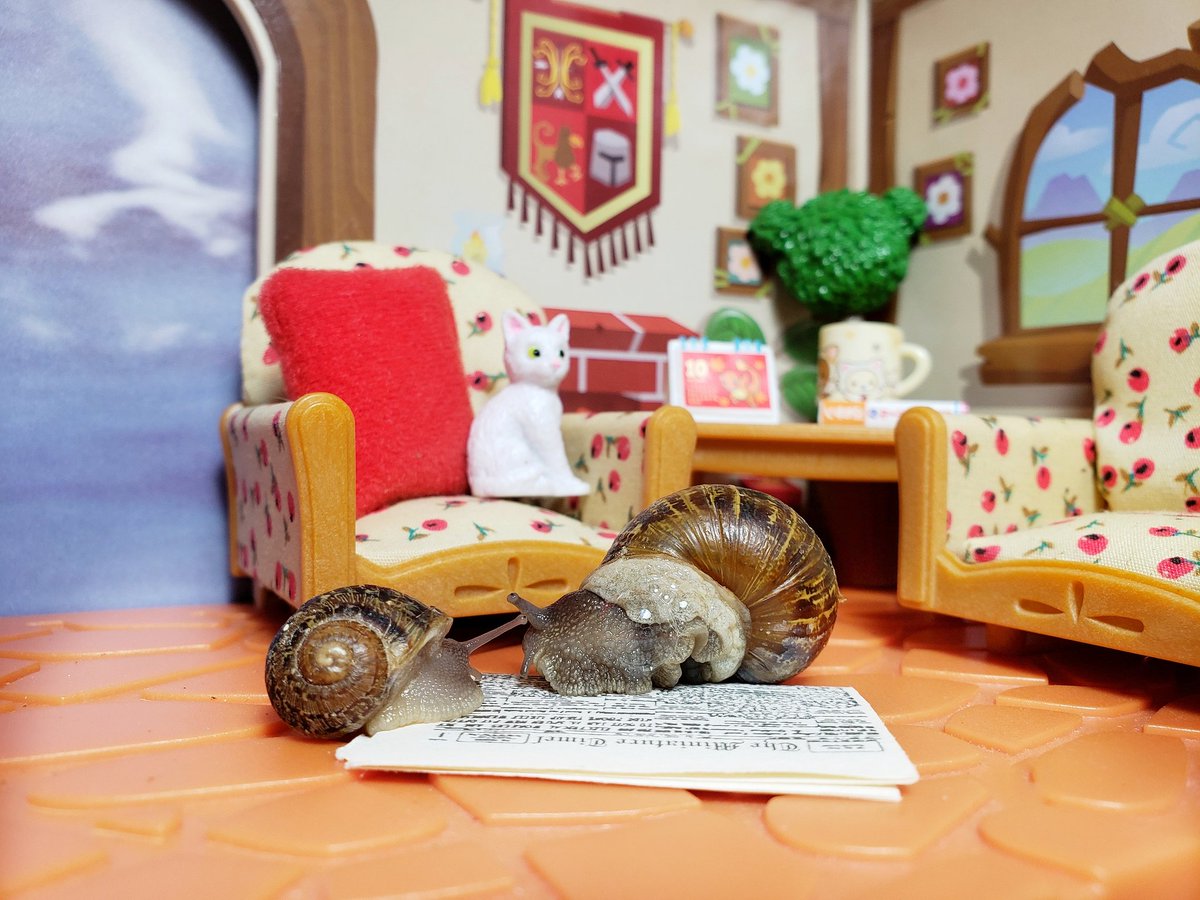 Happy Saturday everyone!

Pls remember <a href="/savekidscastle/">SaveKidsCastle</a> in your #endofyeargiving 😍 help bring thos magical #inclusive park to life😍

Savekidscastle.org/donate