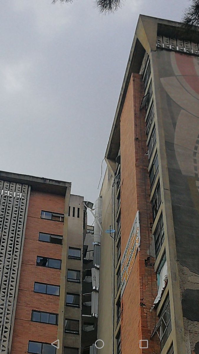 Leticia Rosales tweet media