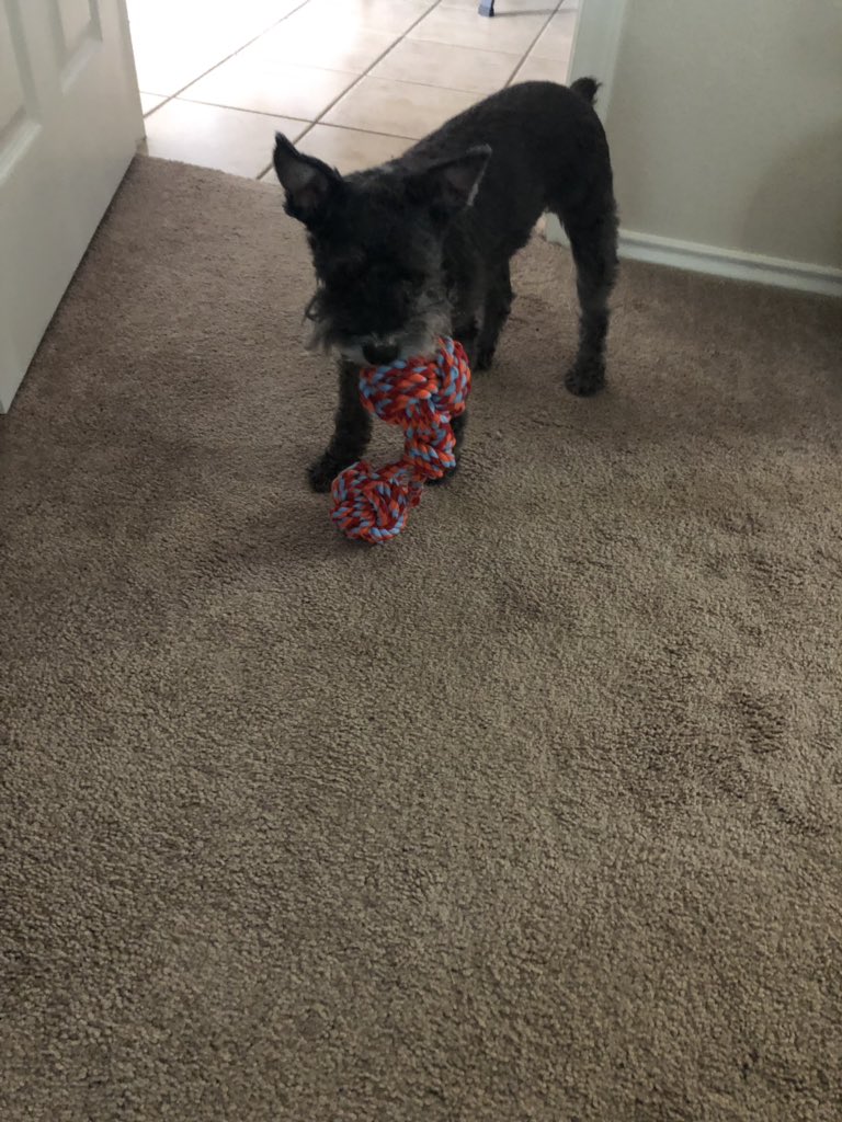 When your baby loves her new toy!