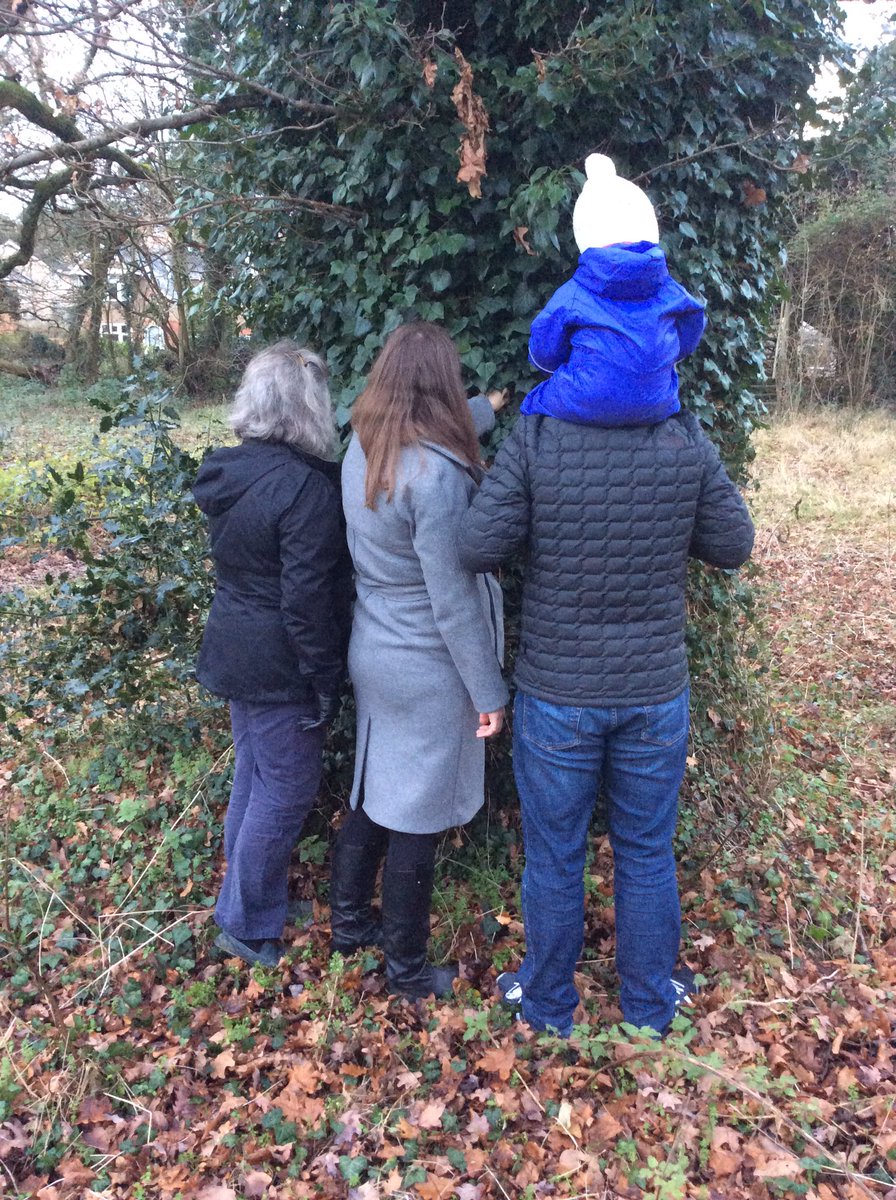 Gordon_McGlone's tweet photo. #7DaysOfWildChristmas Day 5
Take one oak tree, a piece of string, some family and a tape measure.
Look at @WoodlandTrust measuring chart.
4.2m girth 200 years old or thereabouts.
Exciting new information about a local tree friend. #Cam #Gloucestershire 
https://t.co/yikUgK1QJC https://t.co/u2Srl74CIA