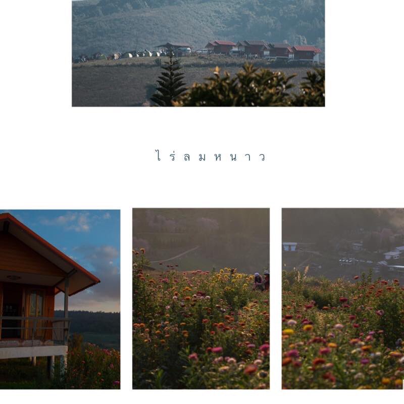 1betraveler's tweet photo. โพสเตือน!!
เที่ยวภูลมโล ซากุระเมืองไทย
นอนไร่ลมหนาว ณ.บ้านร่องกล้า
( รีวิว https://t.co/39WUTtOBwT)
🌸🌸🌸ช่วงเวลาเที่ยวกลางมค. - กพ. 
#รีวิวเที่ยว #เที่ยวไทย #travel #ซากุระเมืองไทย #ภูลมโล #betraveler 
#ไร่ลมหนาวบ้านร่องกล้า #ReviewThailand #เที่ยวเมืองรอง #รีวิว https://t.co/20mJIctgiY