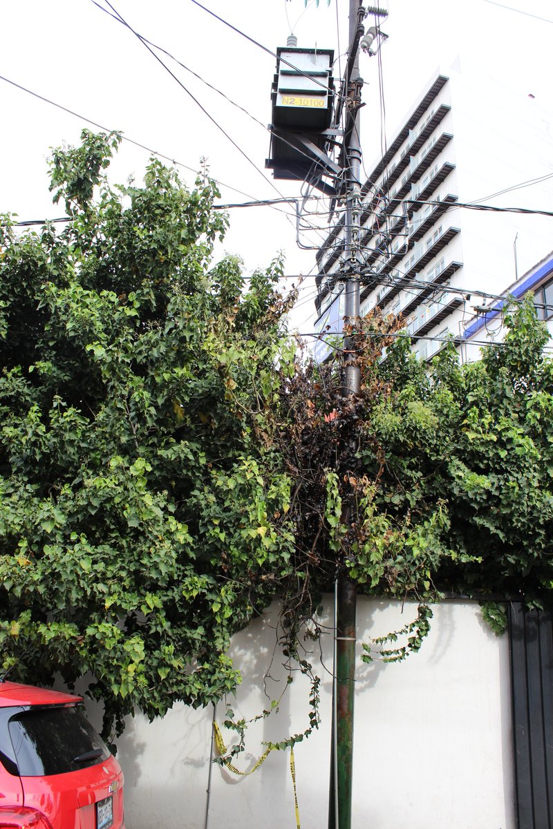 ElNinioAzul's tweet photo. Transformador eléctrico a punto de incendiarse y la espera en los números de emergencia de @CFEmx es eterna. 2 días sin responder.
#CDMX
#PanicoSiniestro
#SPCCDMX https://t.co/J96Wut3nk8