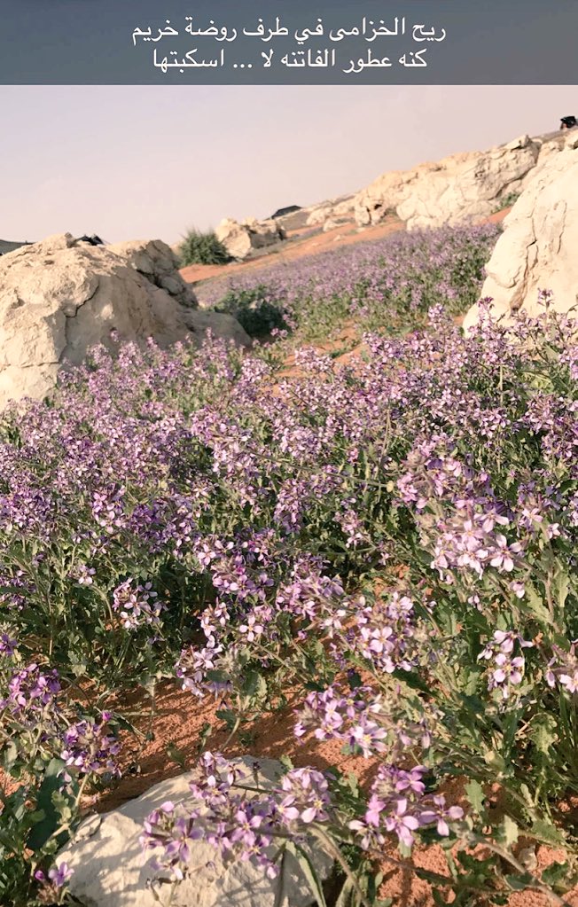 raid_58's tweet image. من ربيع روضة خريم